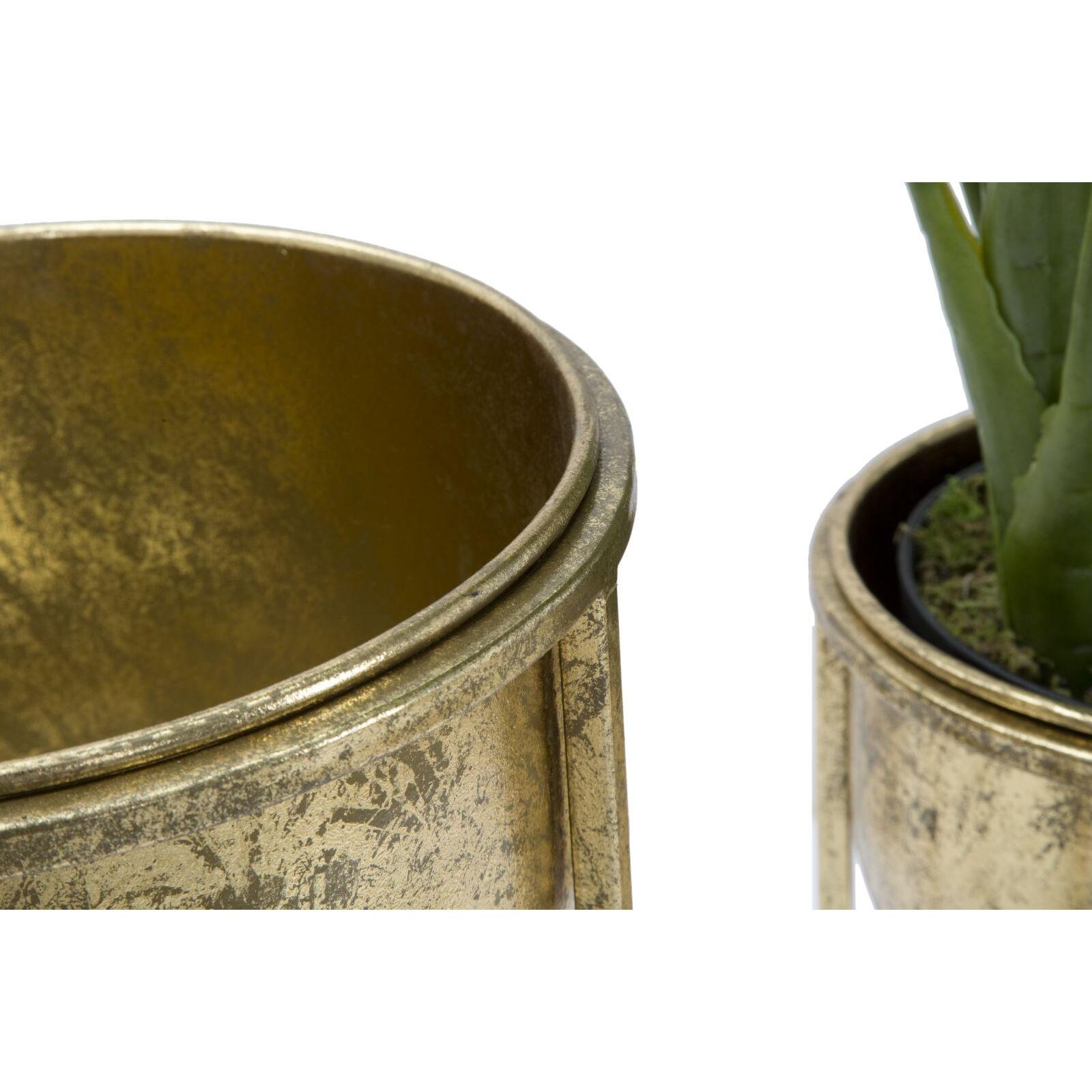 product/m/a/mauro-ferretti_1422770000_golden_2.jpg