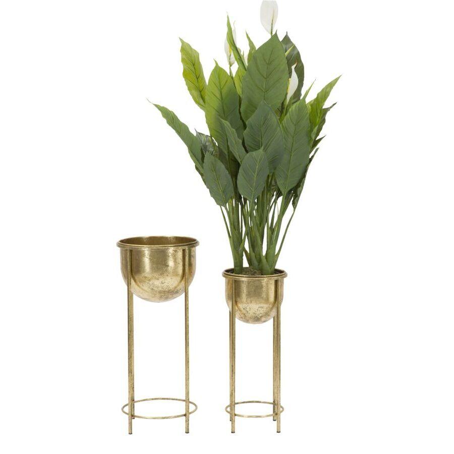 product/m/a/mauro-ferretti_1422770000_golden_4.jpg