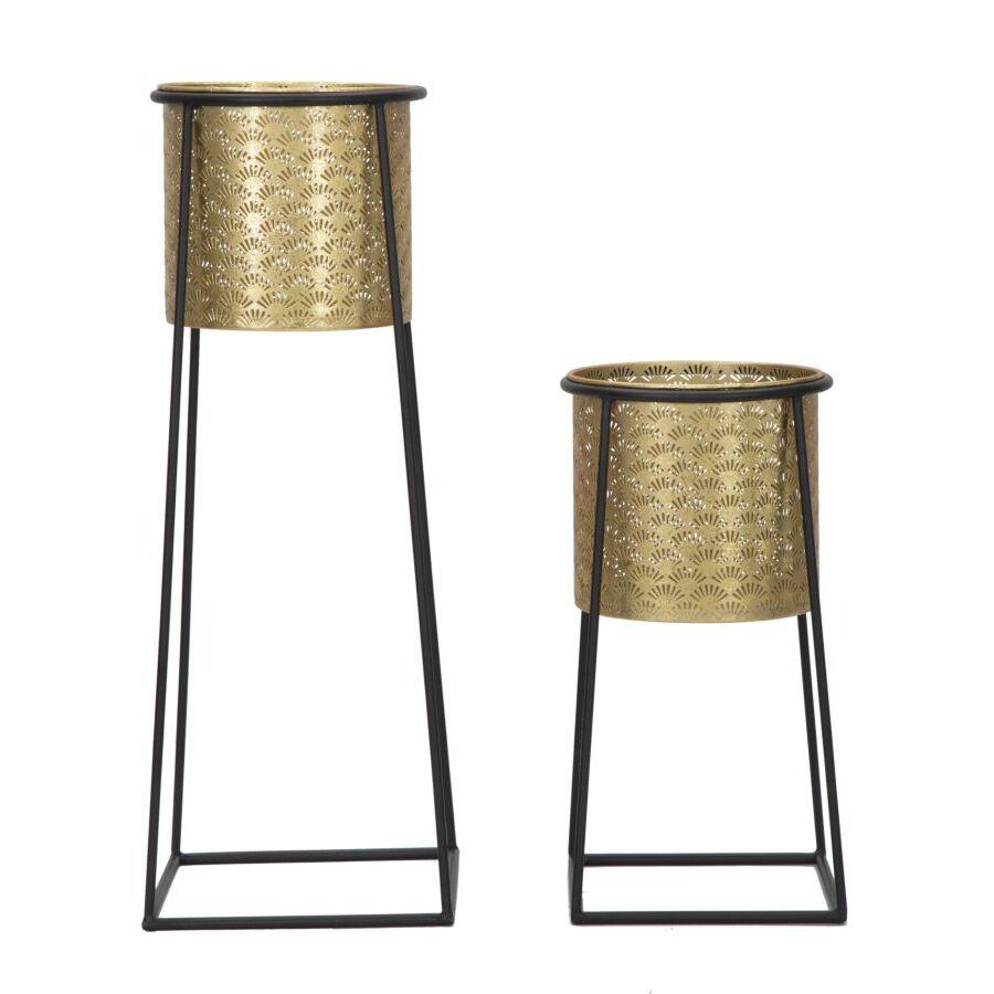 product/m/a/mauro-ferretti_1422940000_black-gold_2.jpg