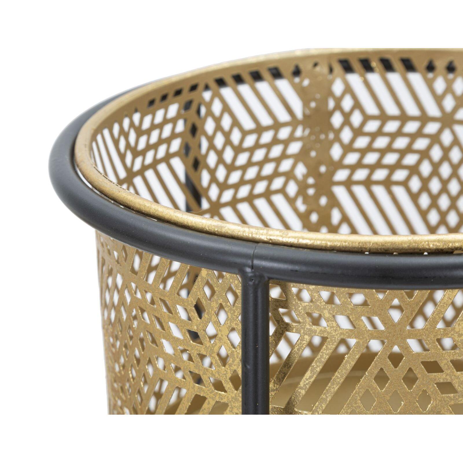 product/m/a/mauro-ferretti_1423920000_gold-black_3.jpg