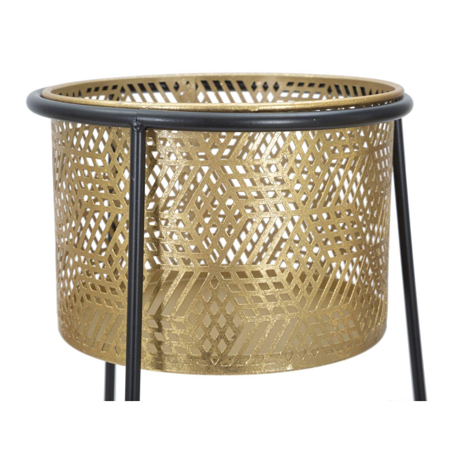product/m/a/mauro-ferretti_1423920000_gold-black_4.jpg