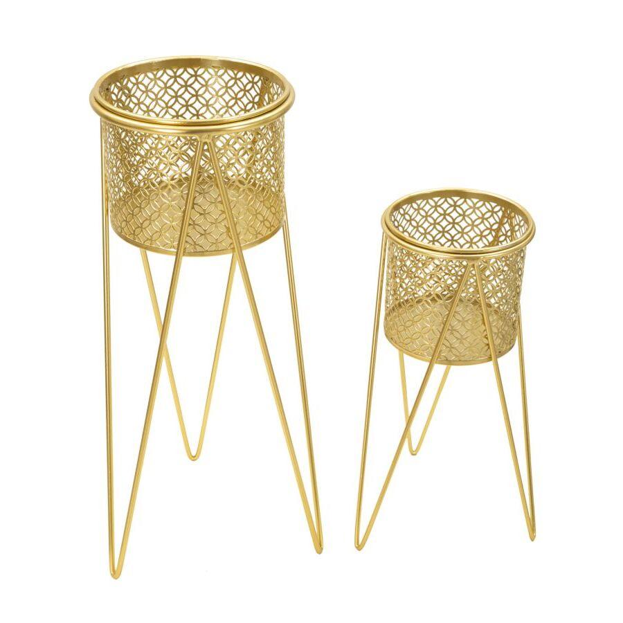 product/m/a/mauro-ferretti_1427880000_gold_2.jpg