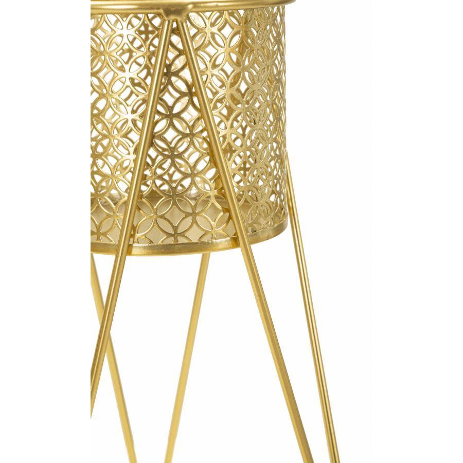 product/m/a/mauro-ferretti_1427880000_gold_4.jpg