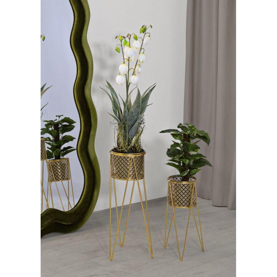 product/m/a/mauro-ferretti_1427880000_gold_5.jpg