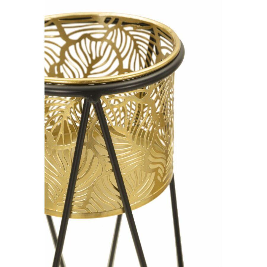 product/m/a/mauro-ferretti_1427890000_black-gold_3.jpg