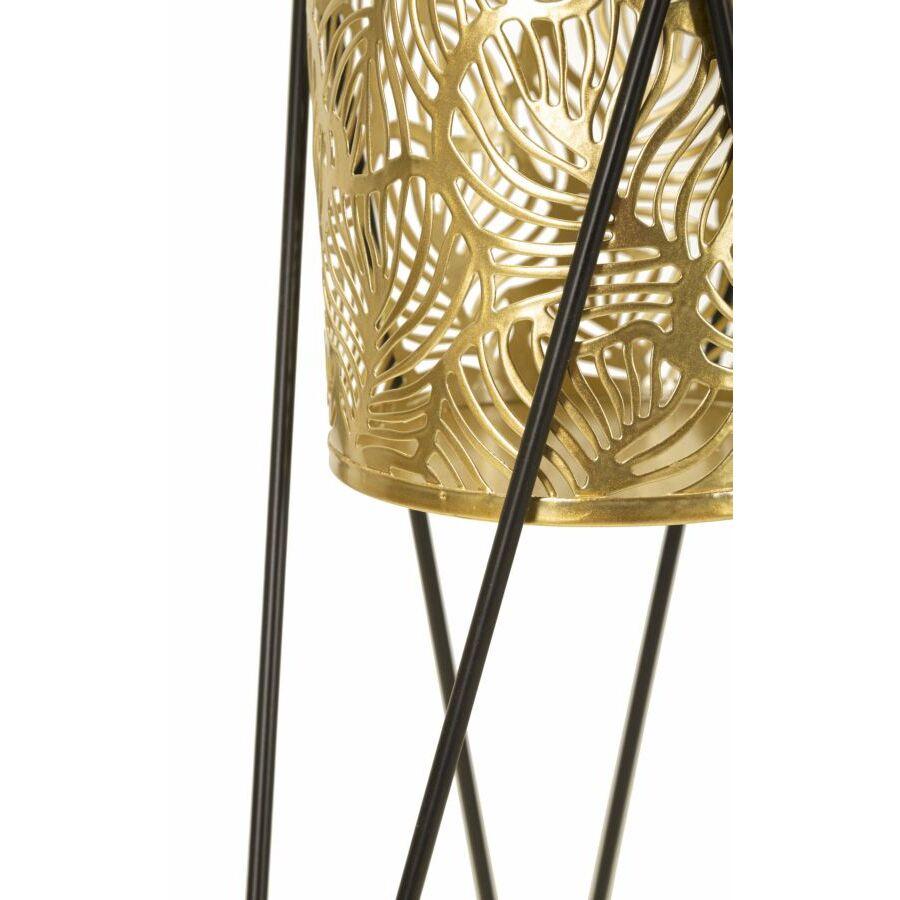 product/m/a/mauro-ferretti_1427890000_black-gold_4.jpg