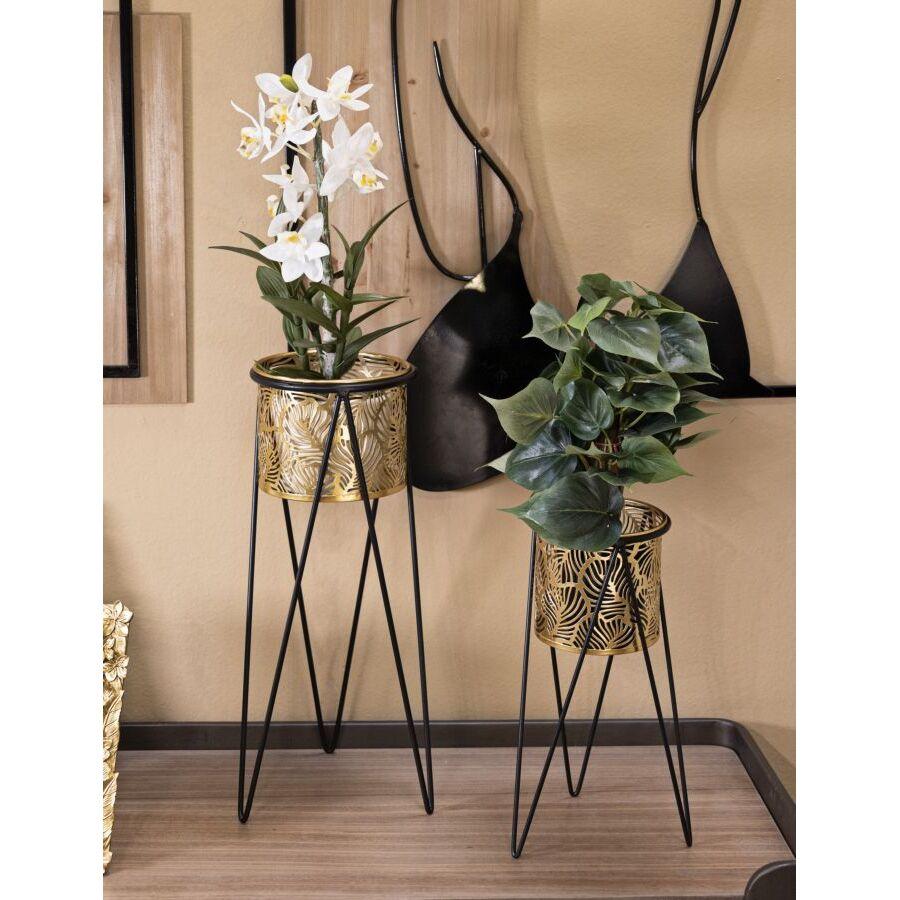 product/m/a/mauro-ferretti_1427890000_black-gold_5.jpg