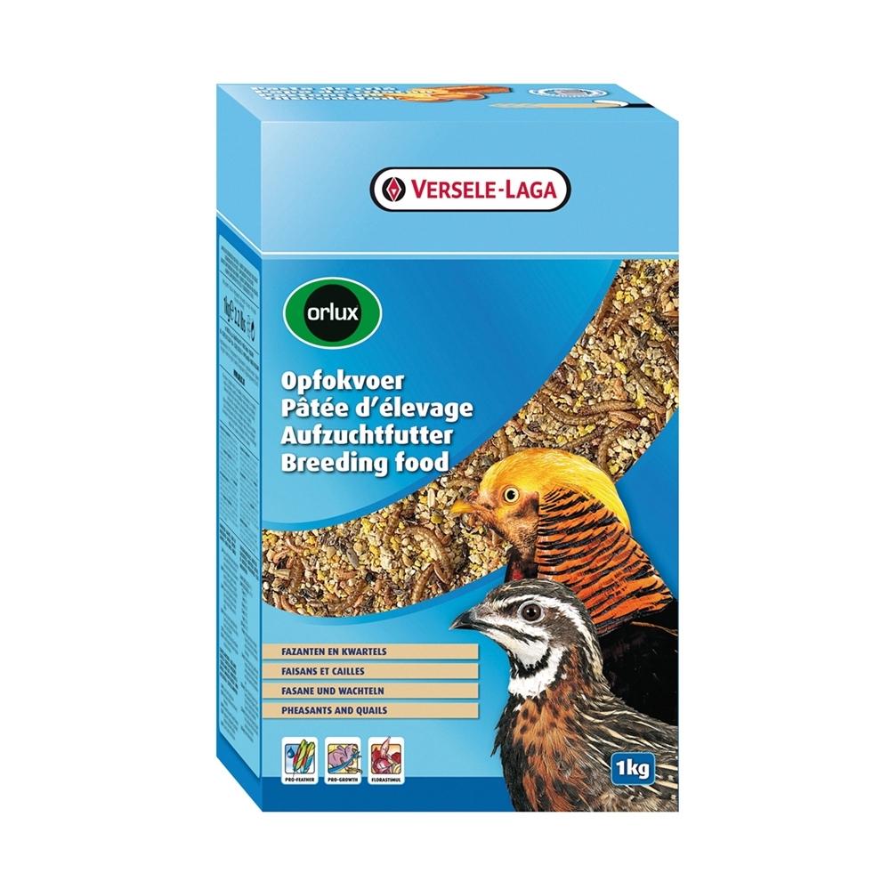 product/n/o/nobby-pet_20083.jpg