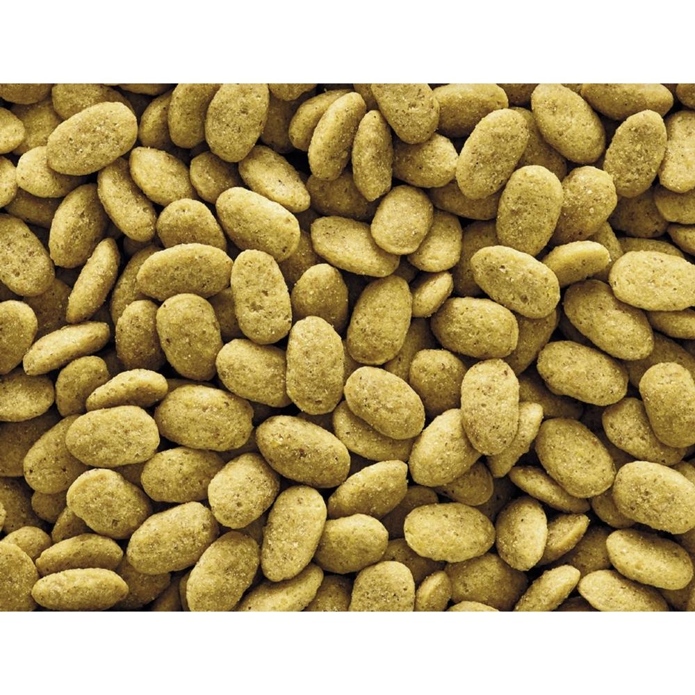 product/n/o/nobby-pet_20214_1.jpg