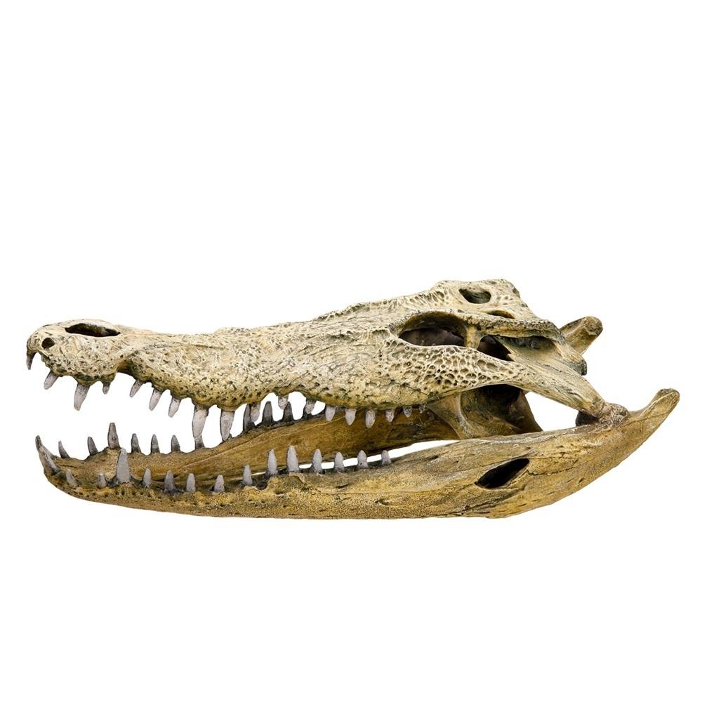 product/n/o/nobby-pet_28108.jpg