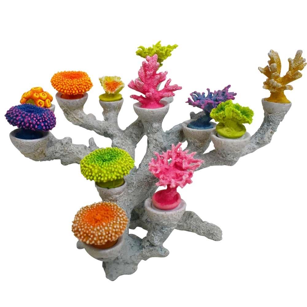 product/n/o/nobby-pet_28727_gris-multicolore_1.jpg