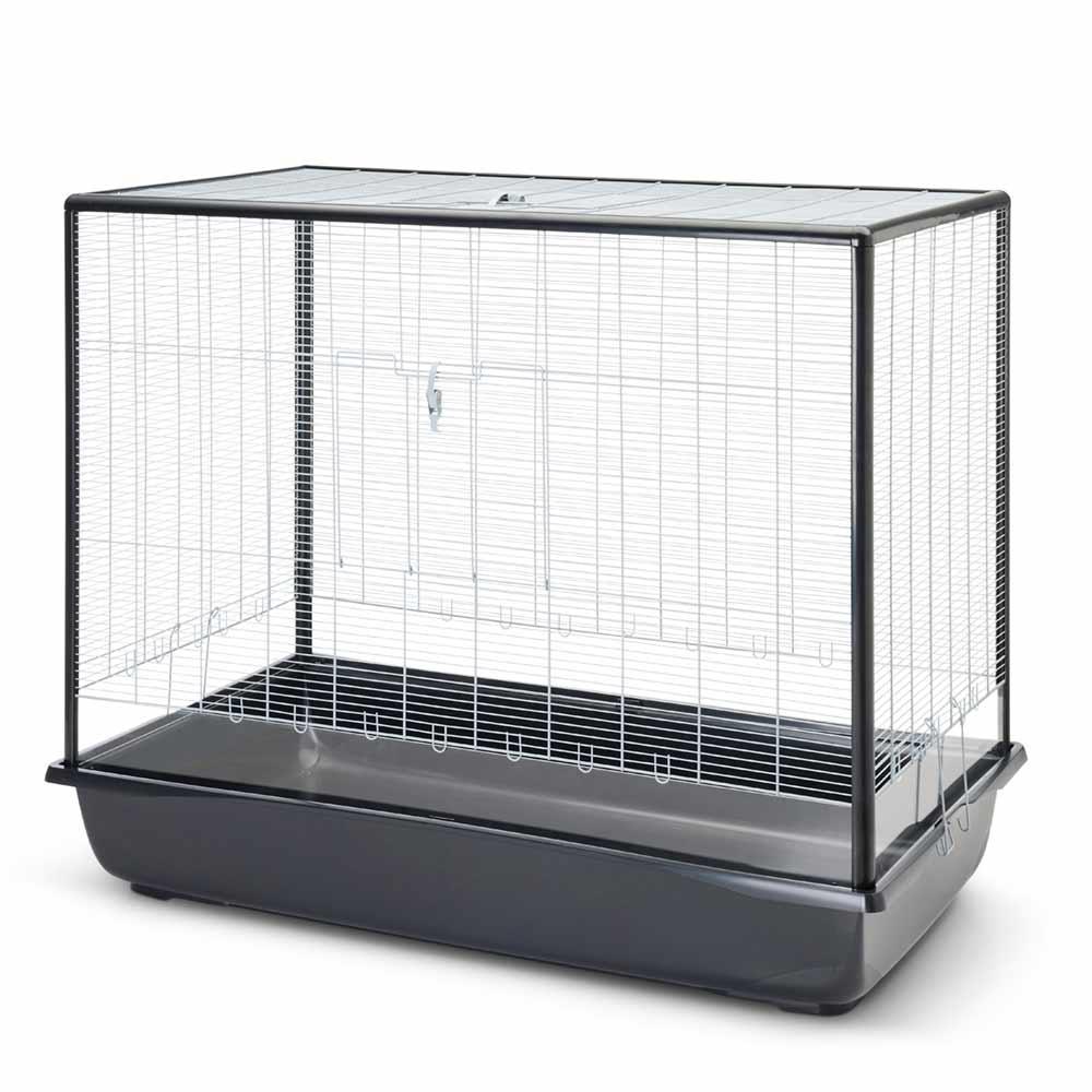 product/n/o/nobby-pet_62478_argente-noir_1.jpg