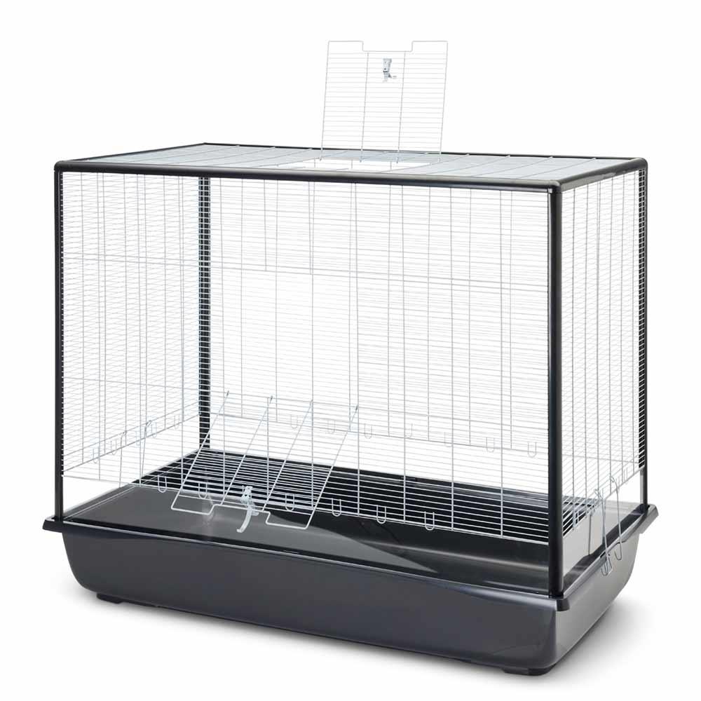 product/n/o/nobby-pet_62478_argente-noir_2.jpg