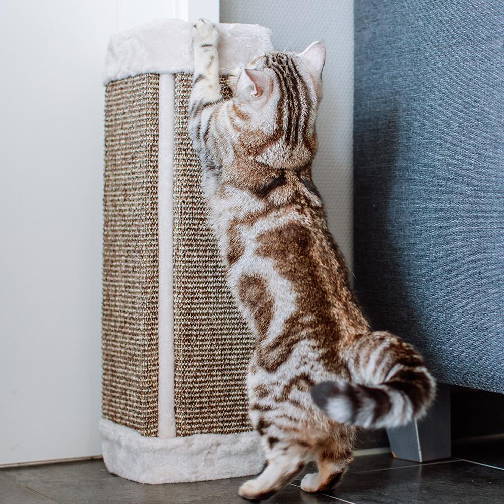 product/n/o/nobby-pet_71990-02_1.jpg