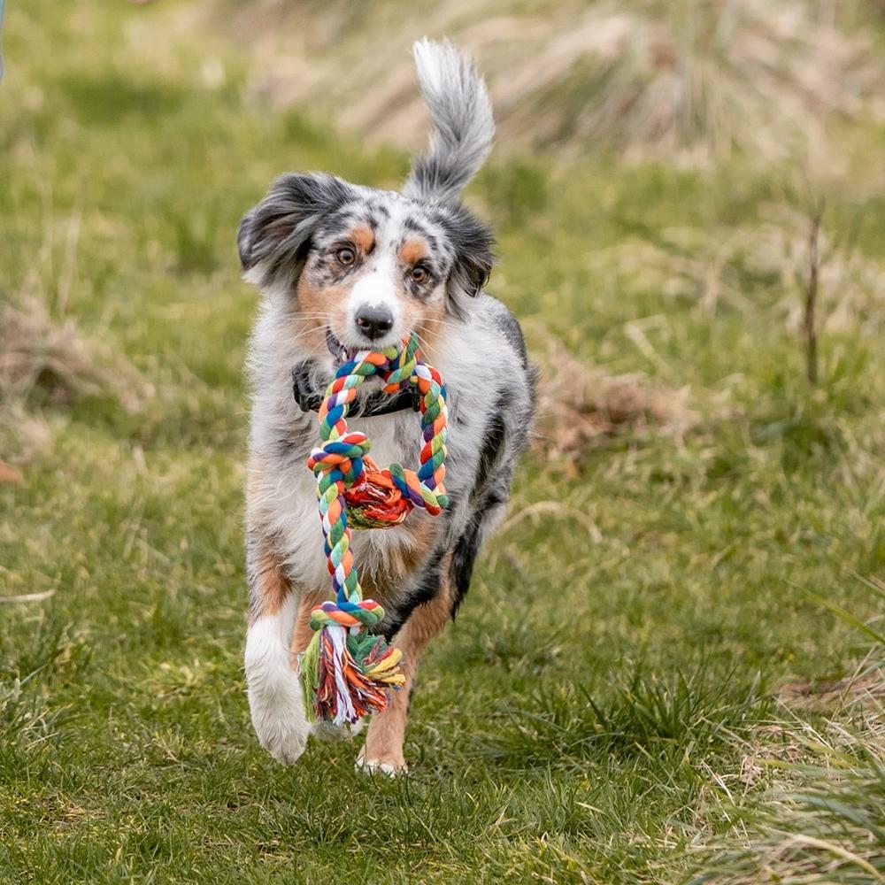 product/n/o/nobby-pet_72493_3.jpg