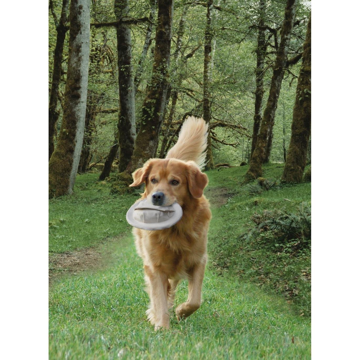 product/n/o/nobby-pet_79319_2.jpg