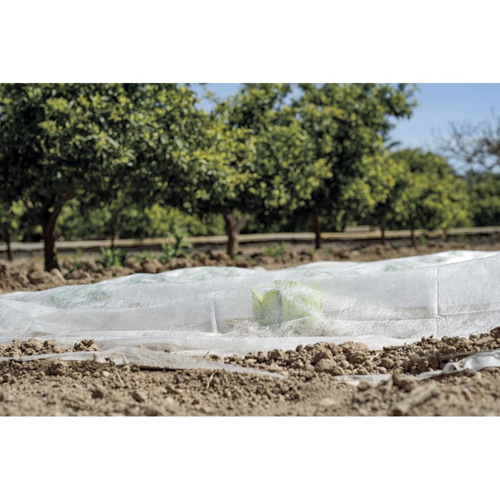 product/n/o/nortene_110022_blanc_5.jpg