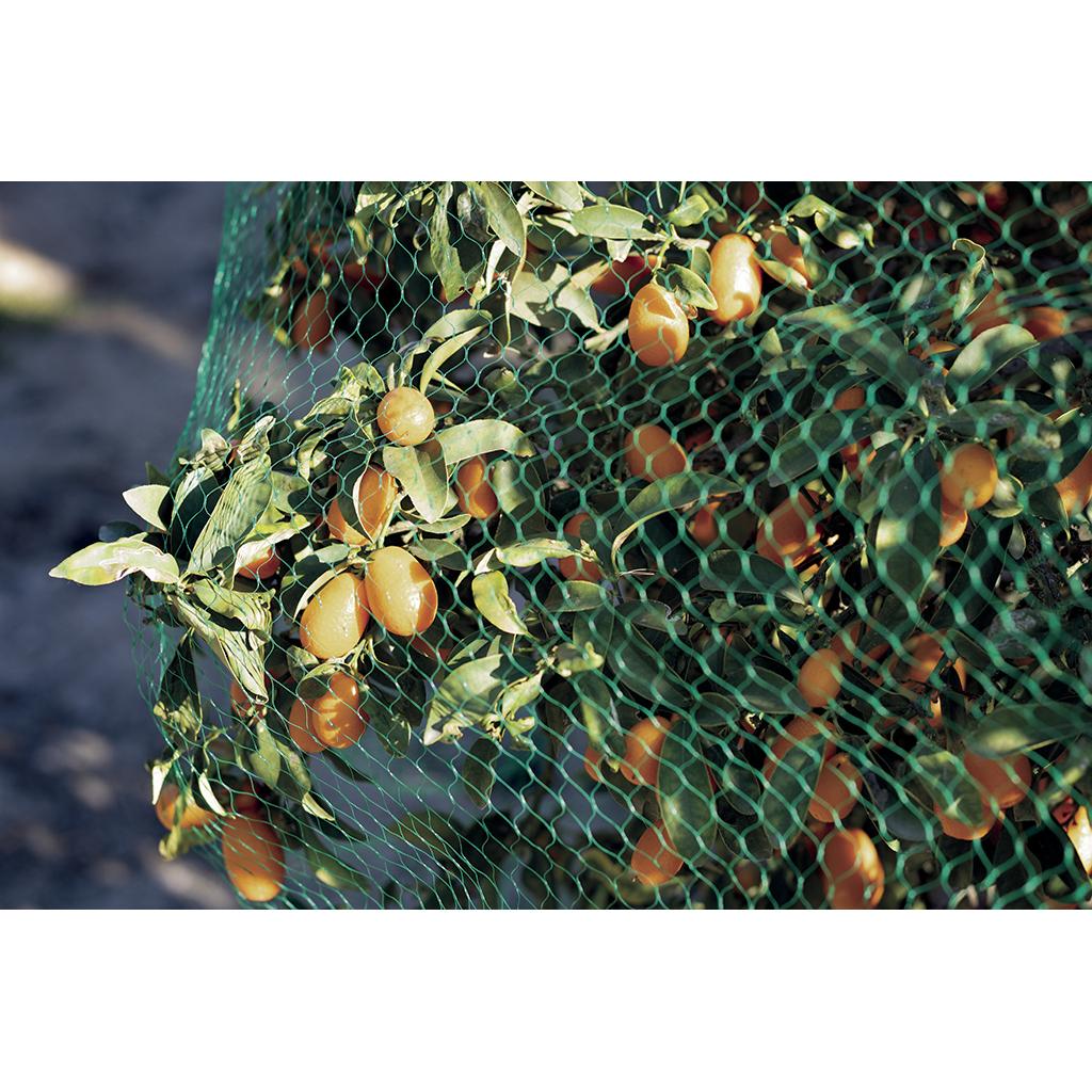 product/n/o/nortene_120010_green_2.jpg