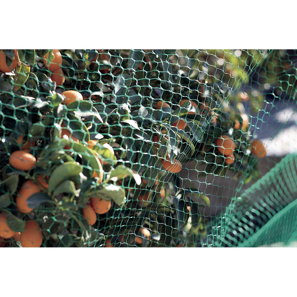 product/n/o/nortene_120010_green_7.jpg