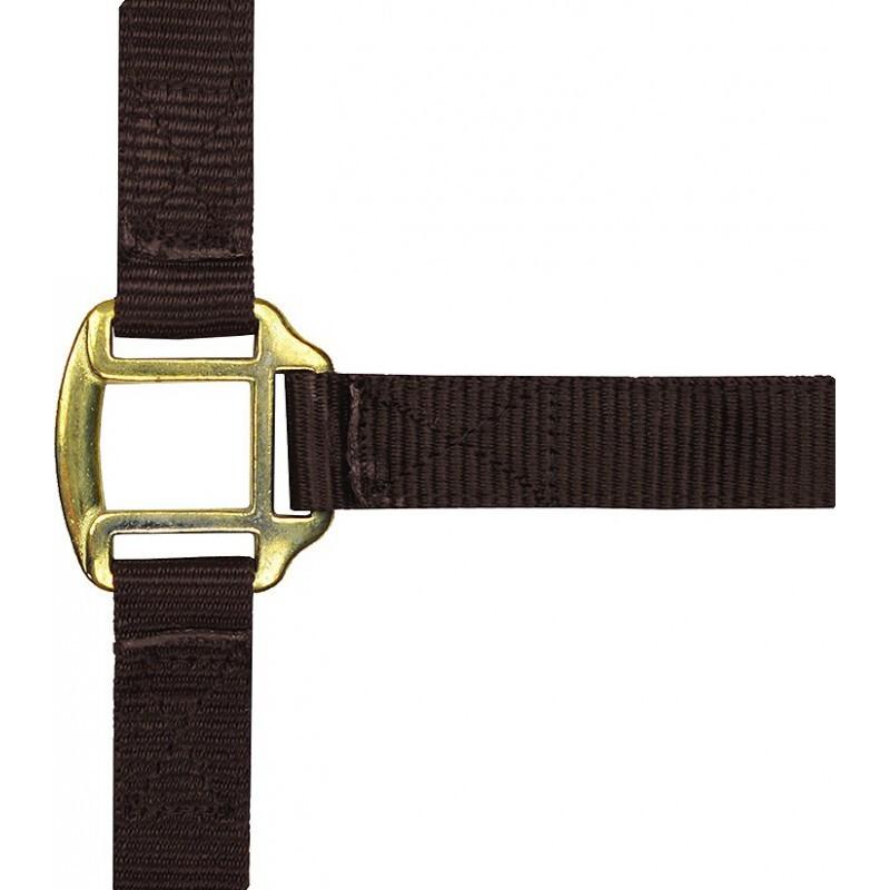 product/n/o/norton_510185004.jpg