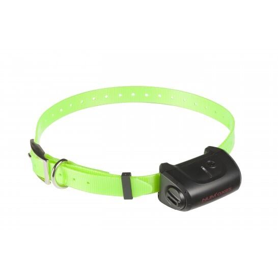 product/n/u/num-axes_pfdresti440_noir-orange-vert_2.jpg