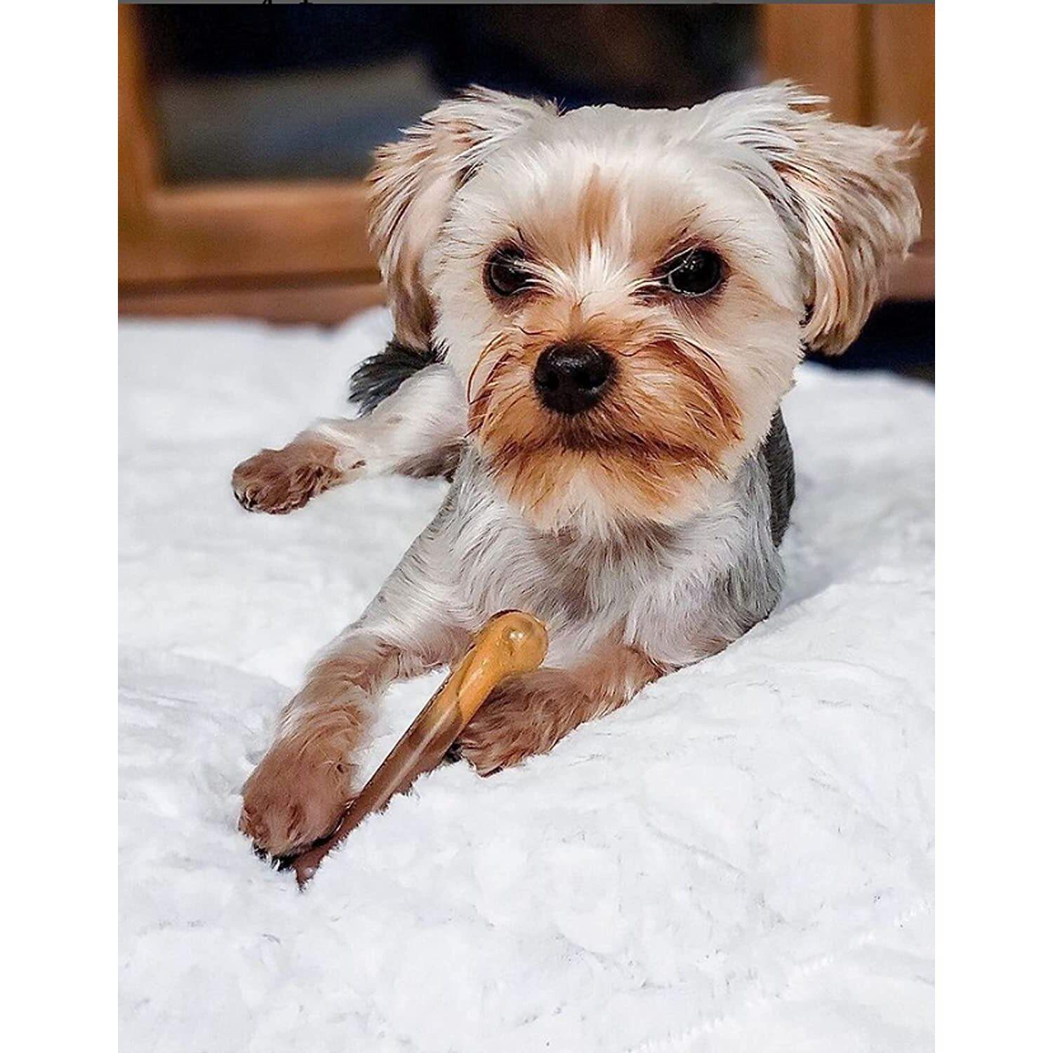 product/n/y/nylabone_983327eu_2.jpg