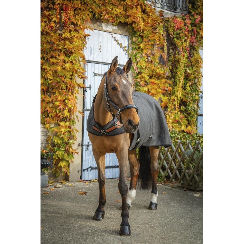 product/p/a/paddock-sports_400029166_gris-chine_2.jpg