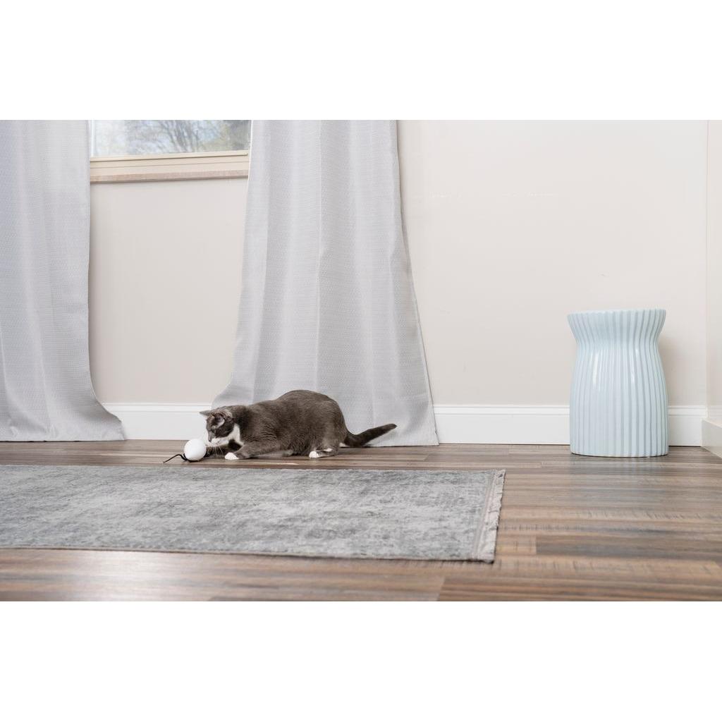 product/p/e/petsafe_cy1156_3.jpg