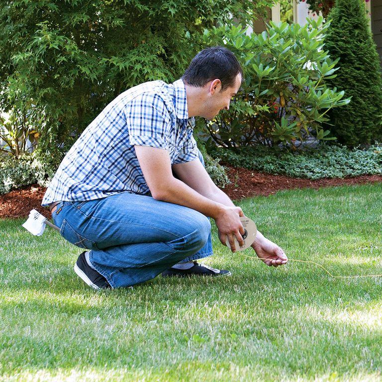 product/p/e/petsafe_cy1669_3.jpg