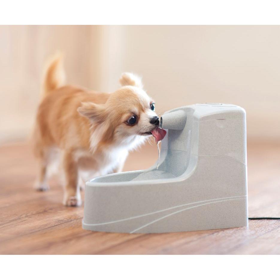 product/p/e/petsafe_cy2626_1.jpg