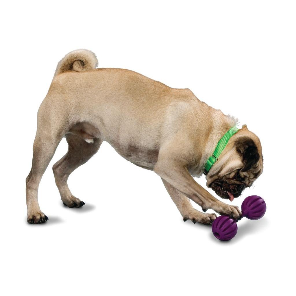 product/p/e/petsafe_cy2645_4.jpg