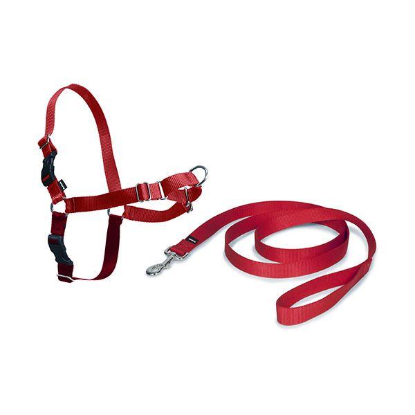 product/p/e/petsafe_cy3117_0.jpg