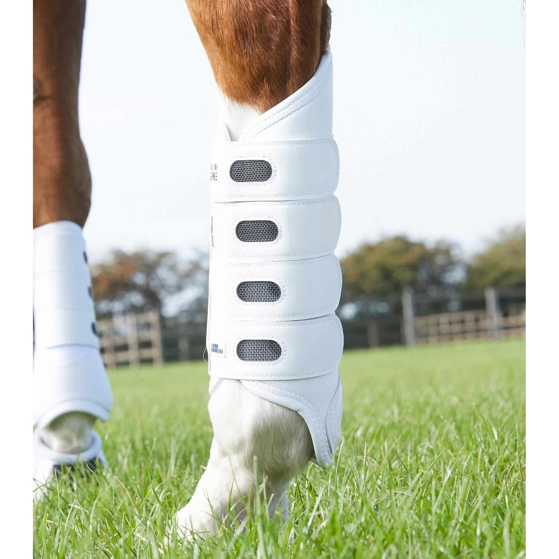 product/p/r/premier-equine_1033hlw_1.jpg