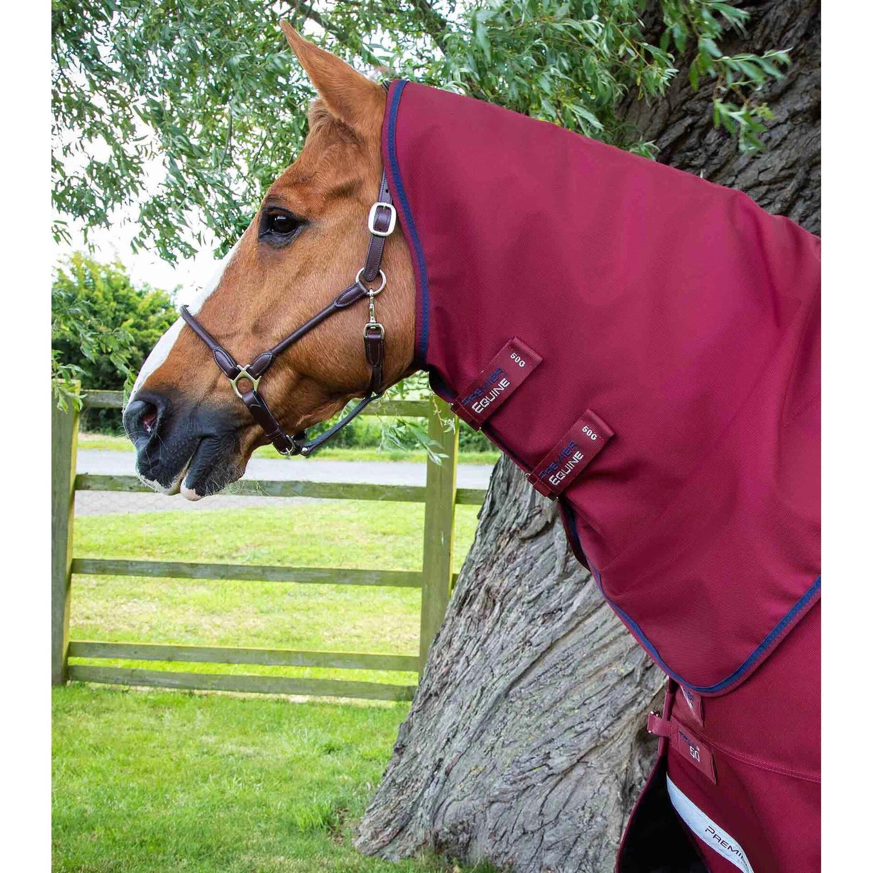 product/p/r/premier-equine_207350brg_2.jpg