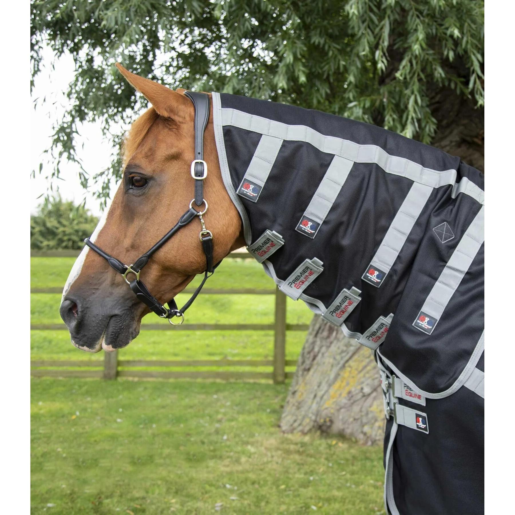 product/p/r/premier-equine_207550_2.jpg
