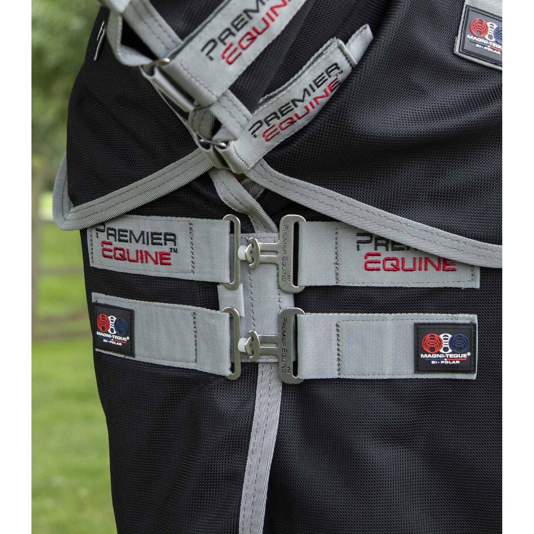 product/p/r/premier-equine_207550_3.jpg