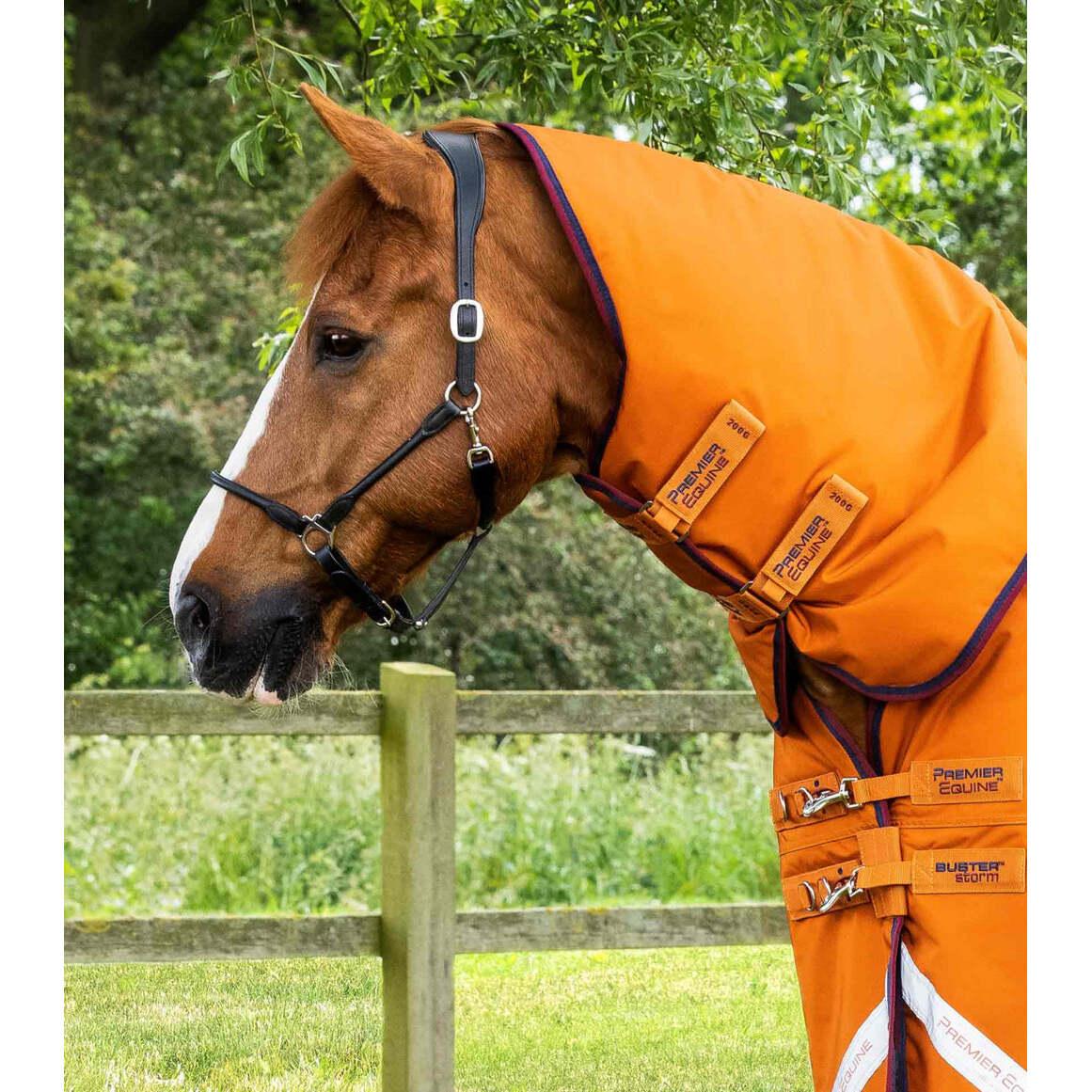 product/p/r/premier-equine_220850bo_burnt-orange_2.jpg