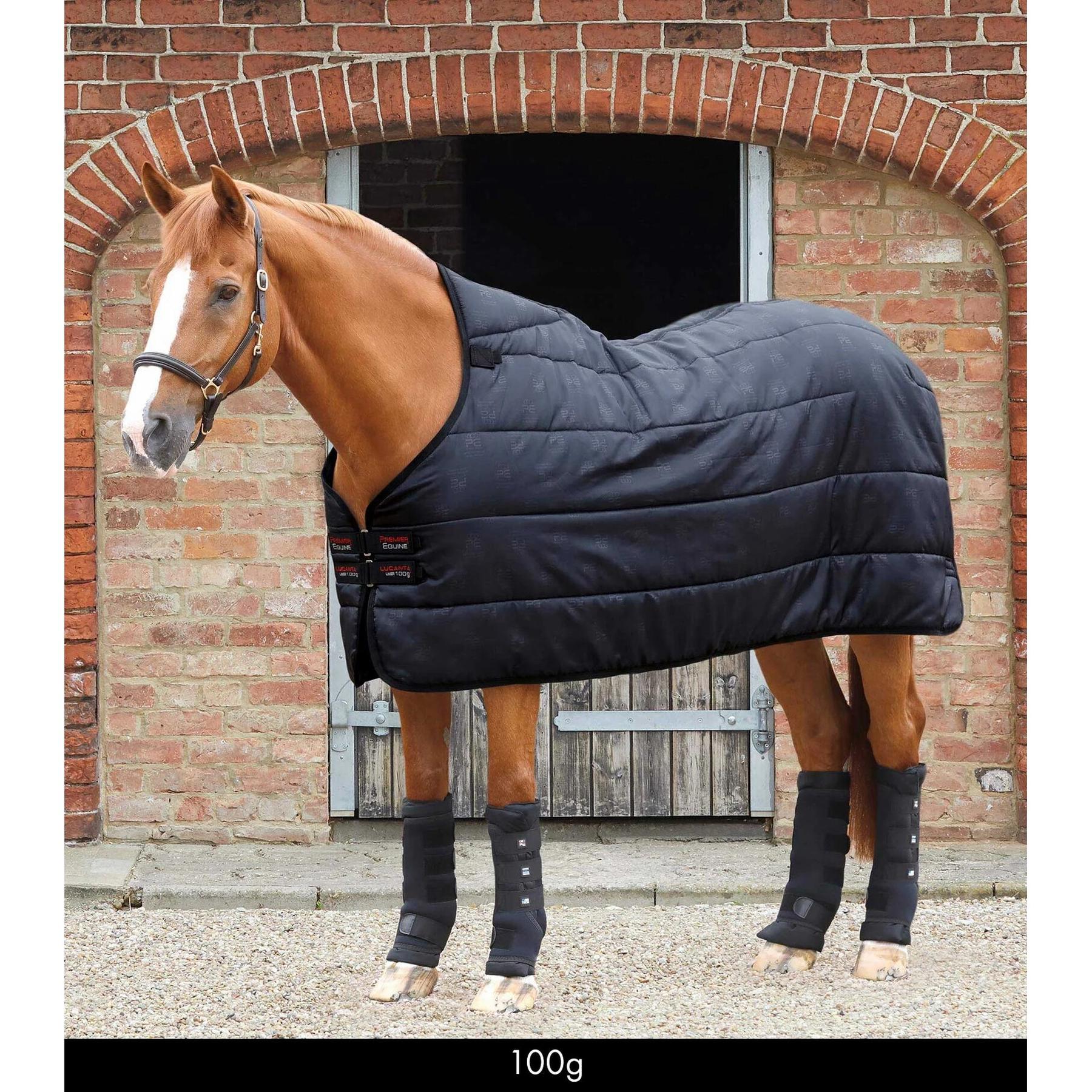 product/p/r/premier-equine_224010050b_1.jpg