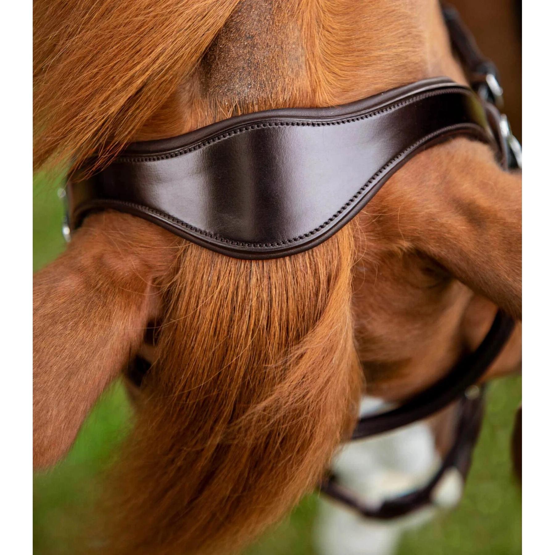 product/p/r/premier-equine_8016-pbrw_4.jpg