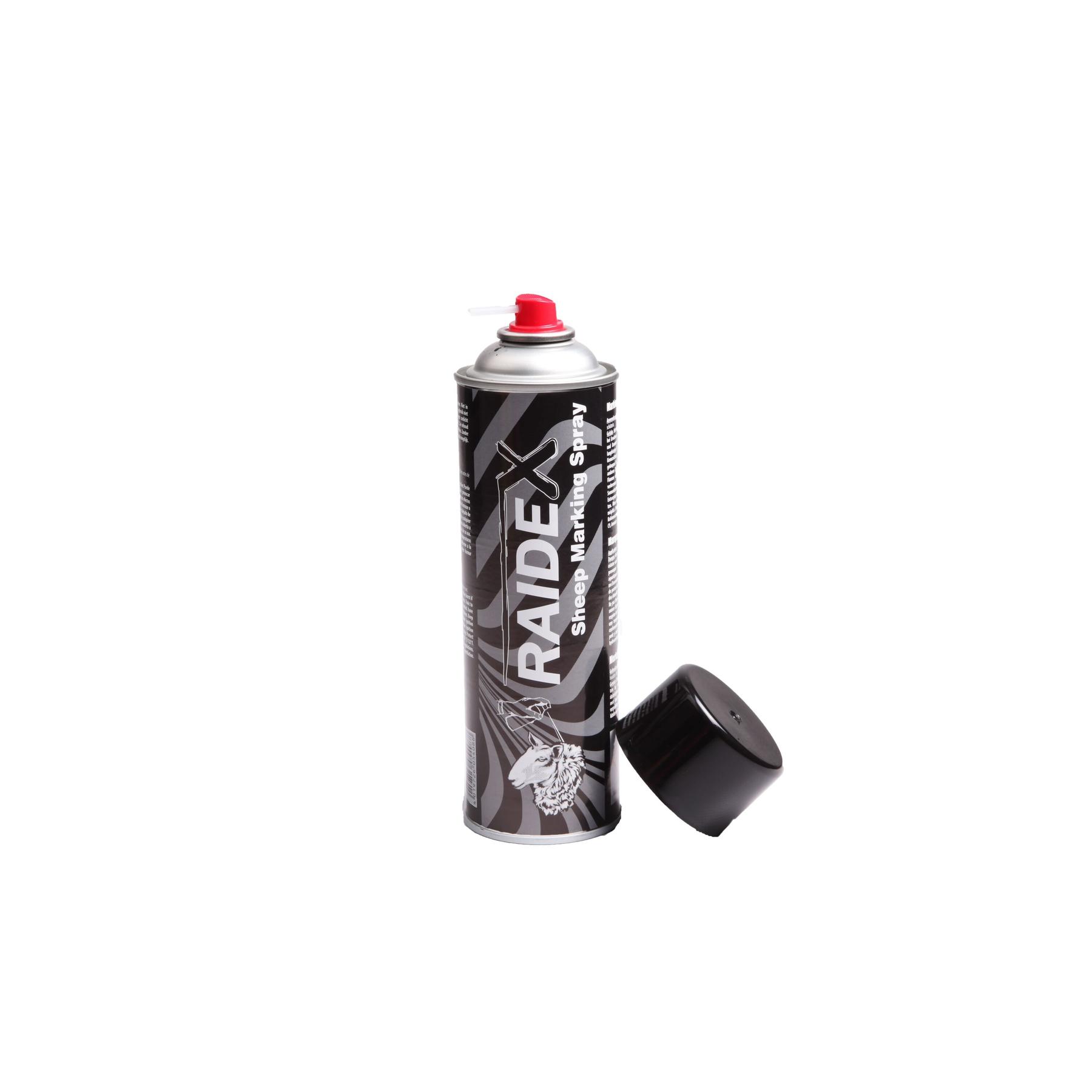 product/r/a/raidex_108308002_noir_2.jpg