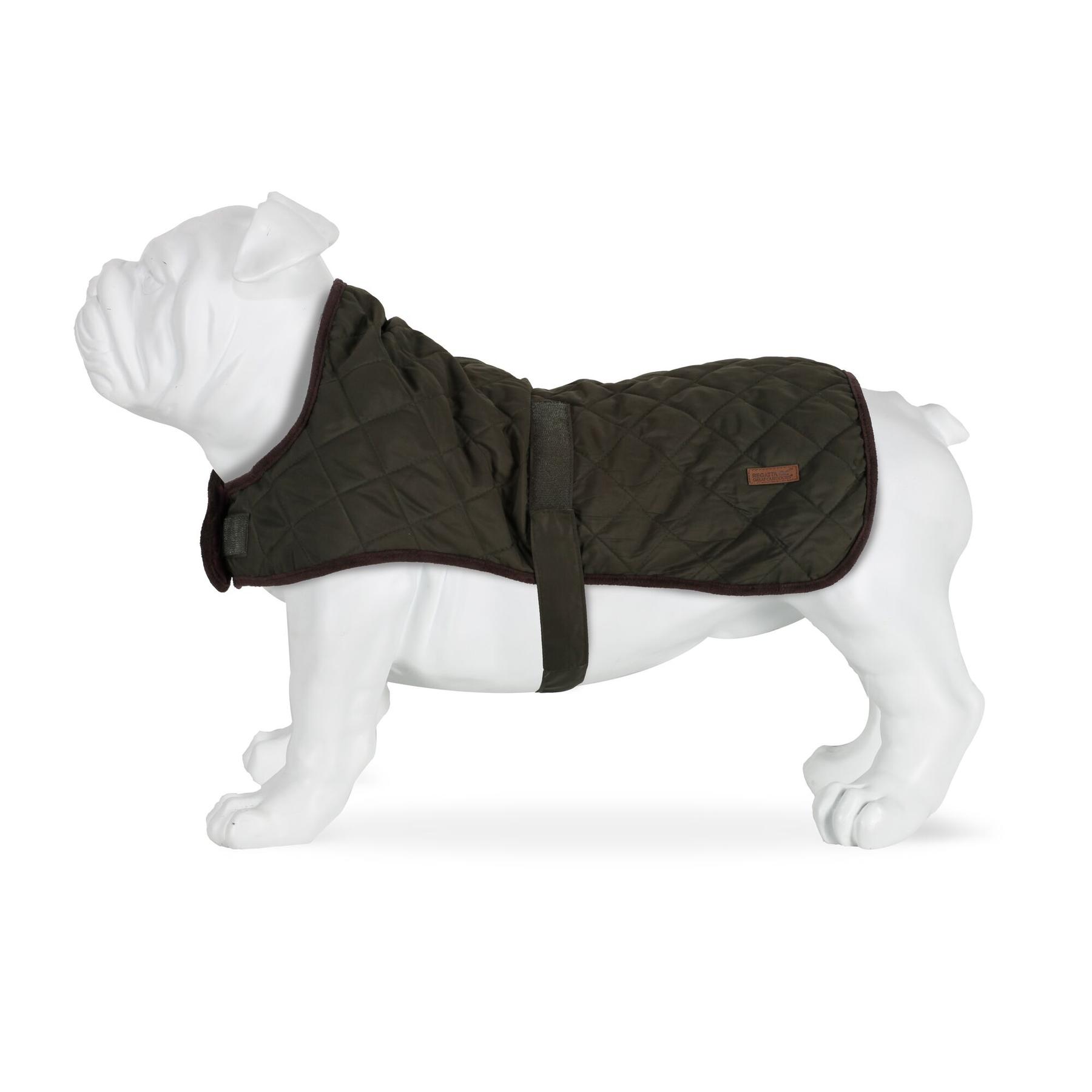 product/r/e/regatta_rde031-41c_dark-khaki_2.jpg