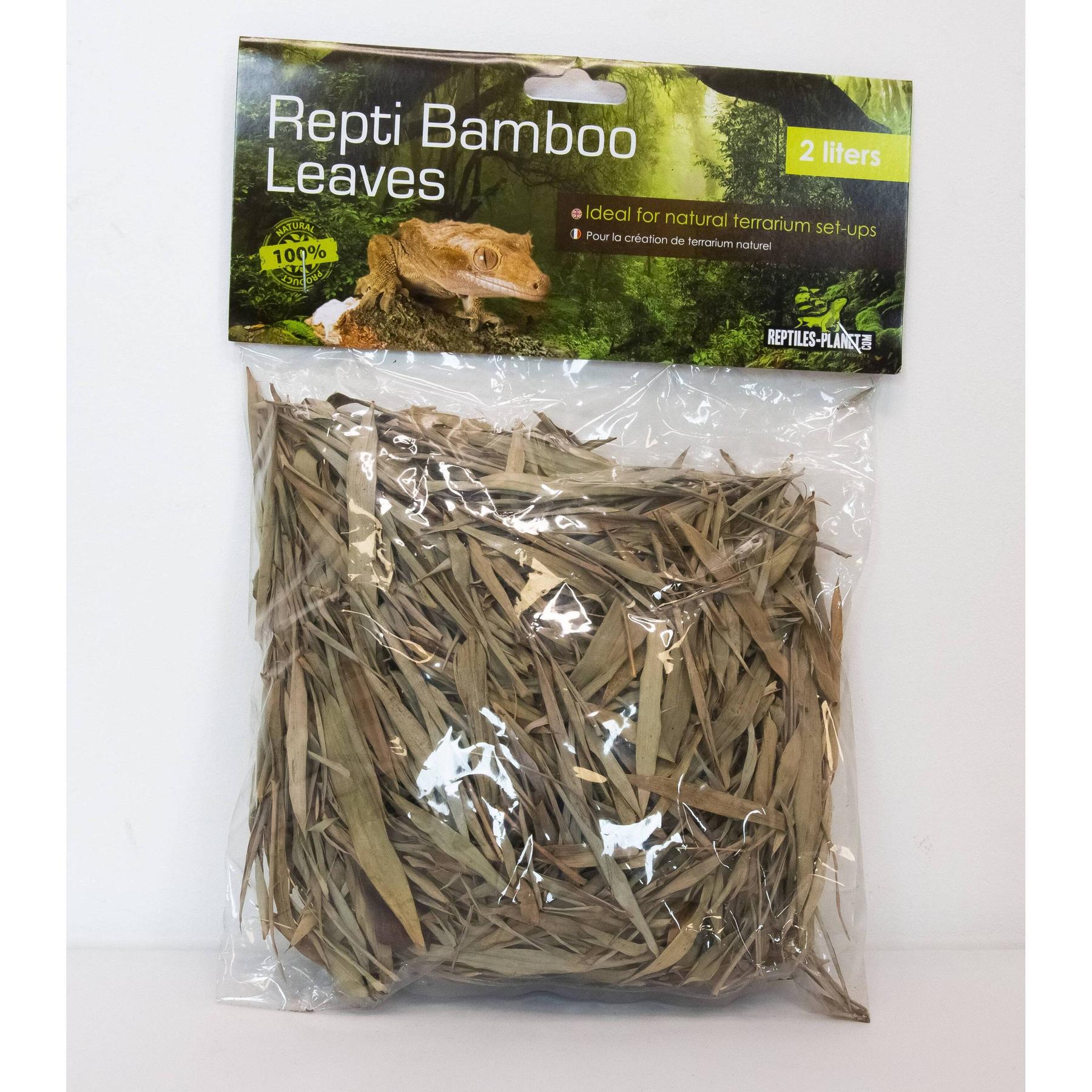 product/r/e/reptiles-planet_rp440135_vert_2.jpg