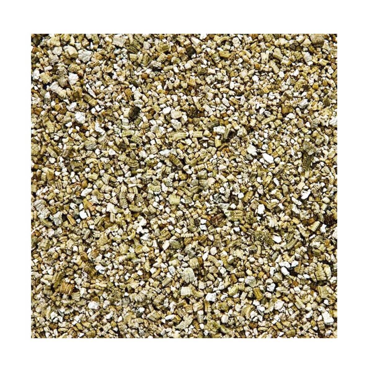 product/r/e/reptiles-planet_rp550025_blanc_3.jpg