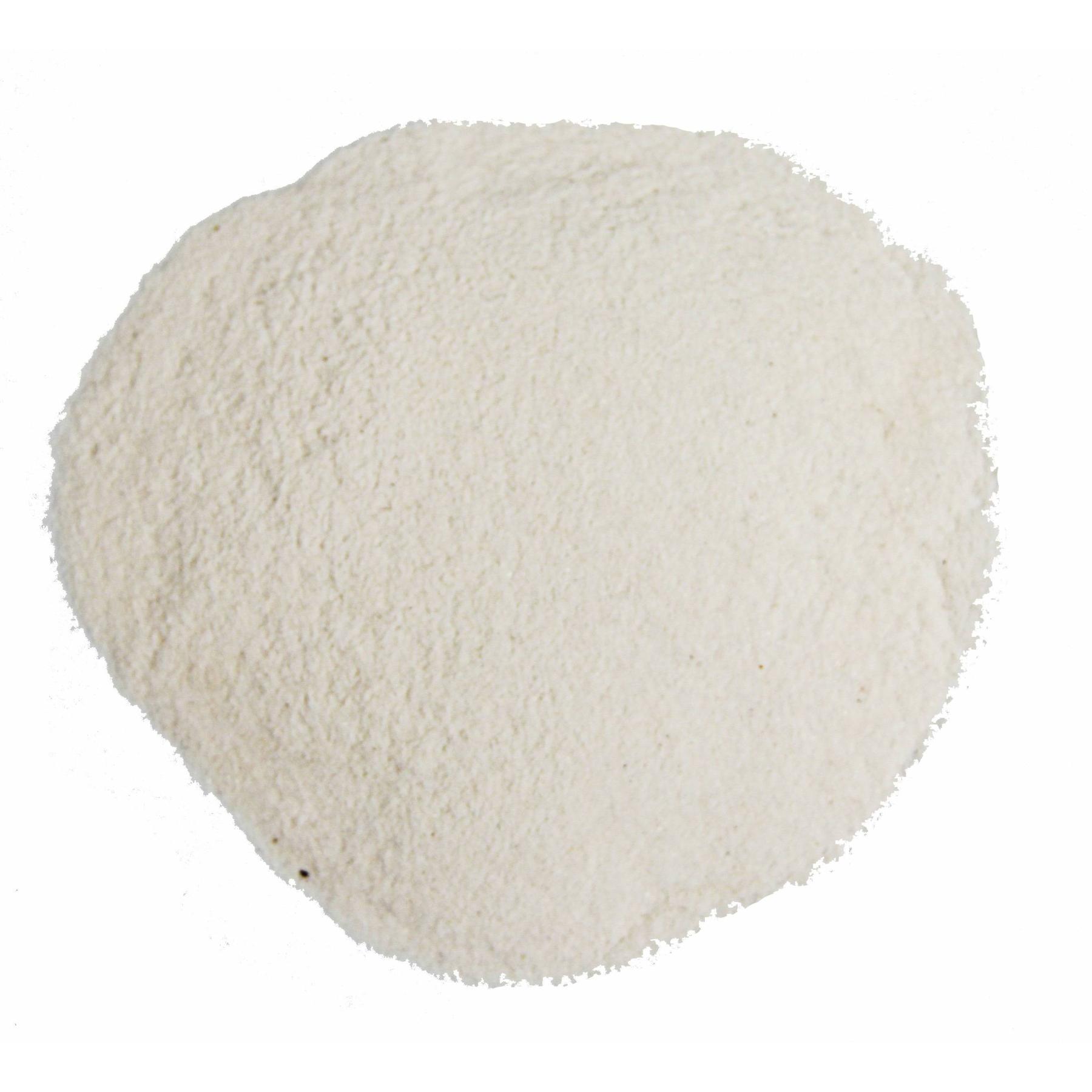 product/r/e/reptiles-planet_rp875820_cream_2.jpg