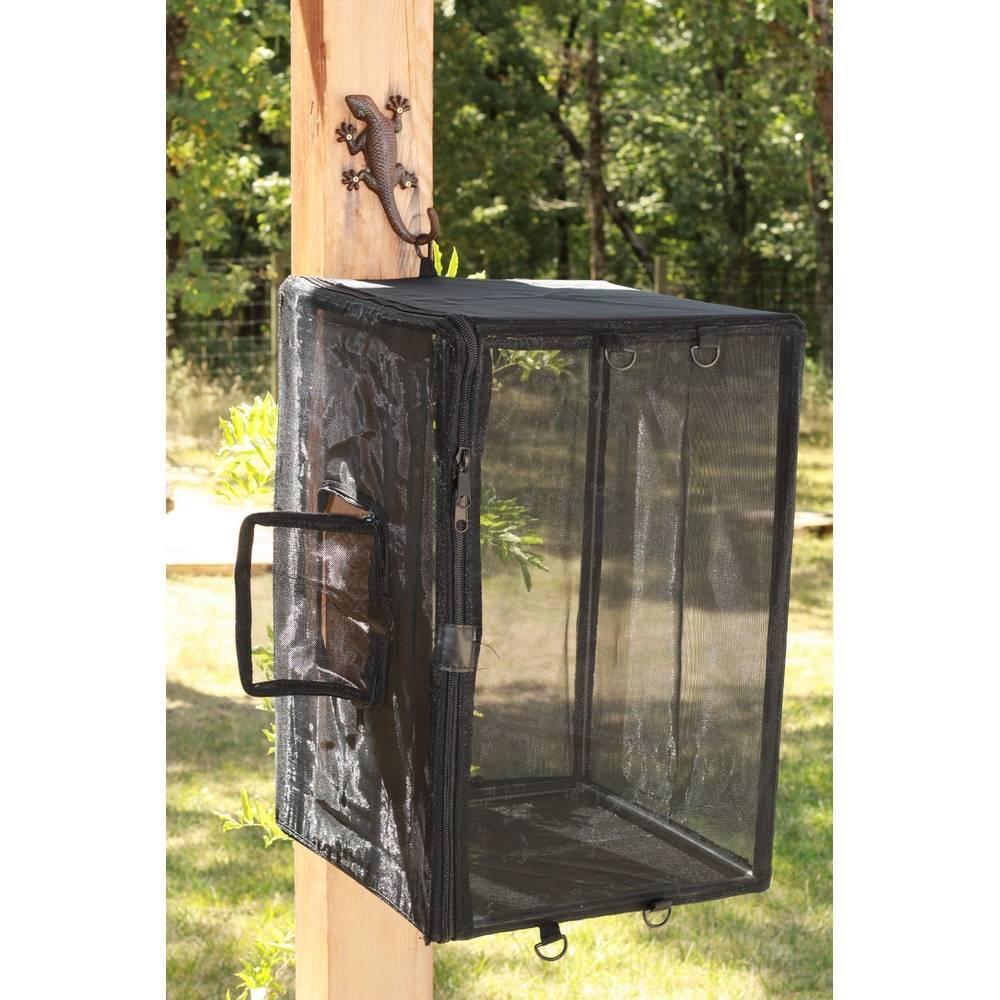 product/r/e/reptiles-planet_rp876120_noir_1.jpg