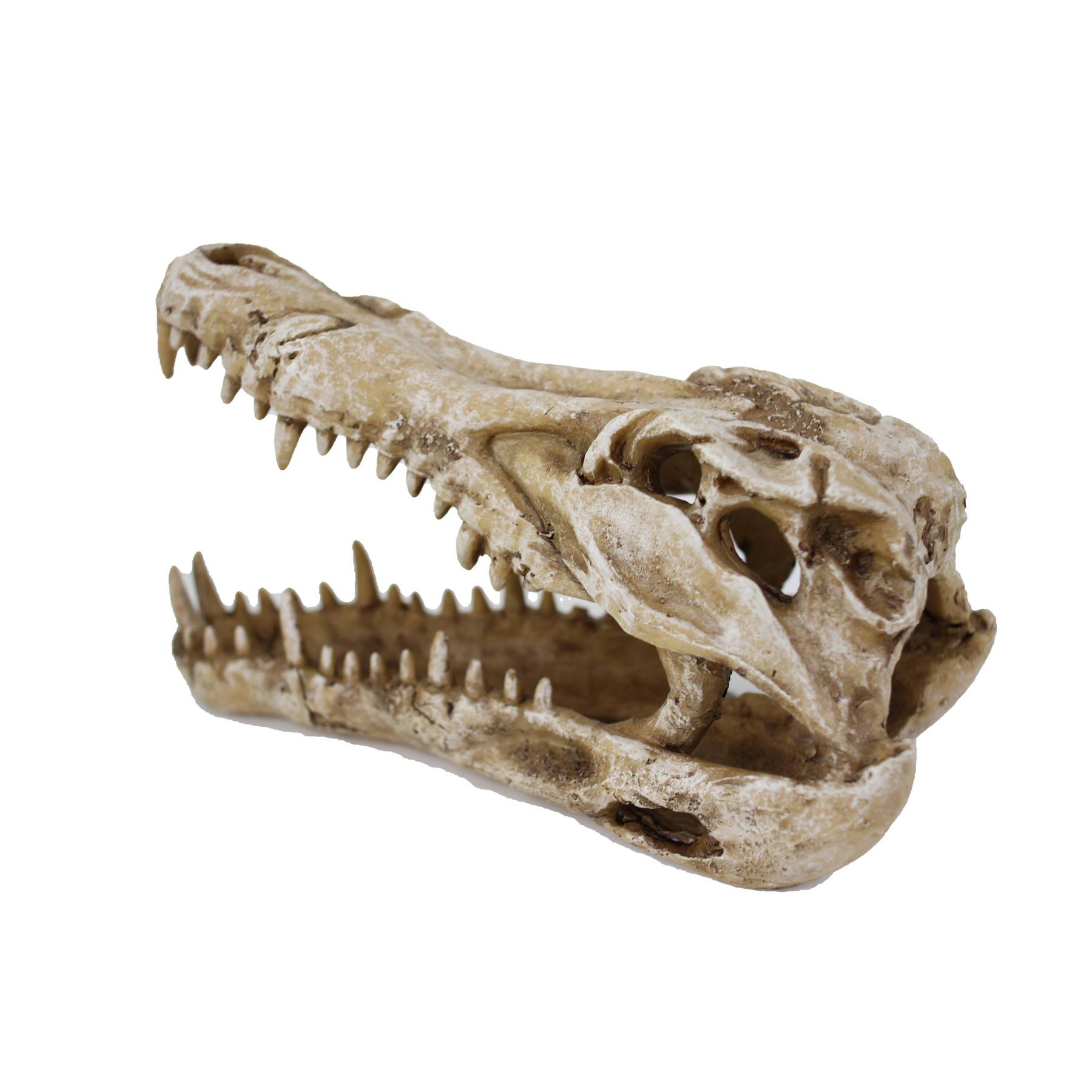 product/r/e/reptiles-planet_rp876153_beige_2.jpg