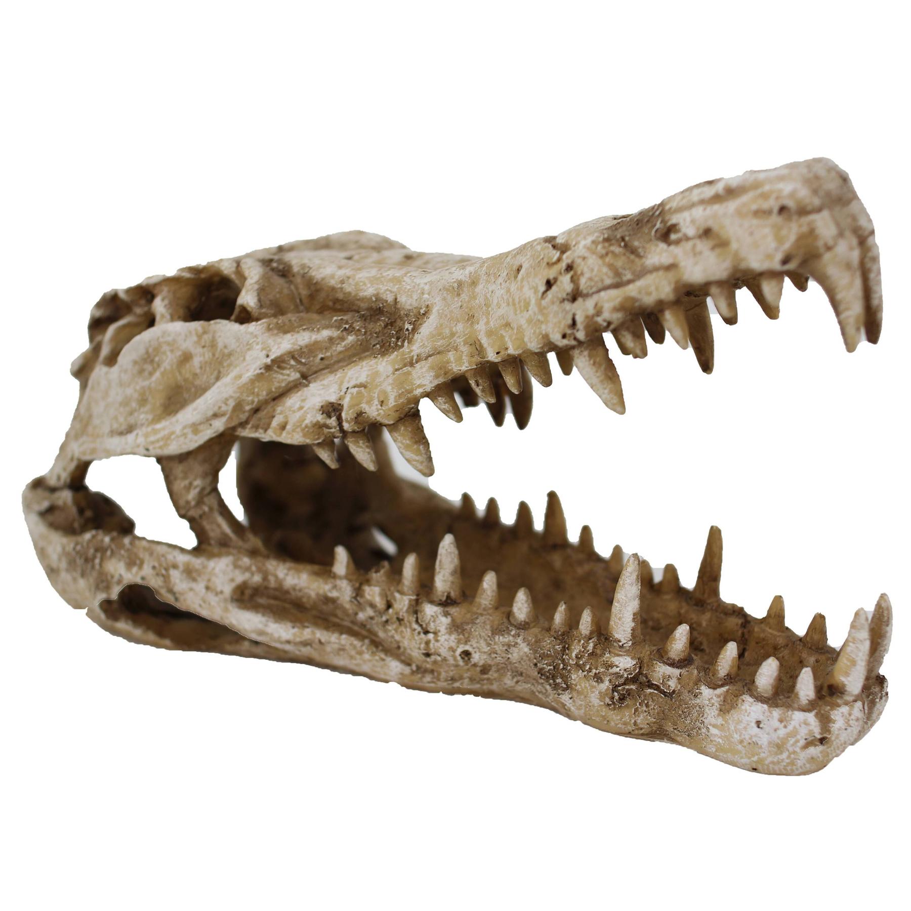 product/r/e/reptiles-planet_rp876153_beige_3.jpg