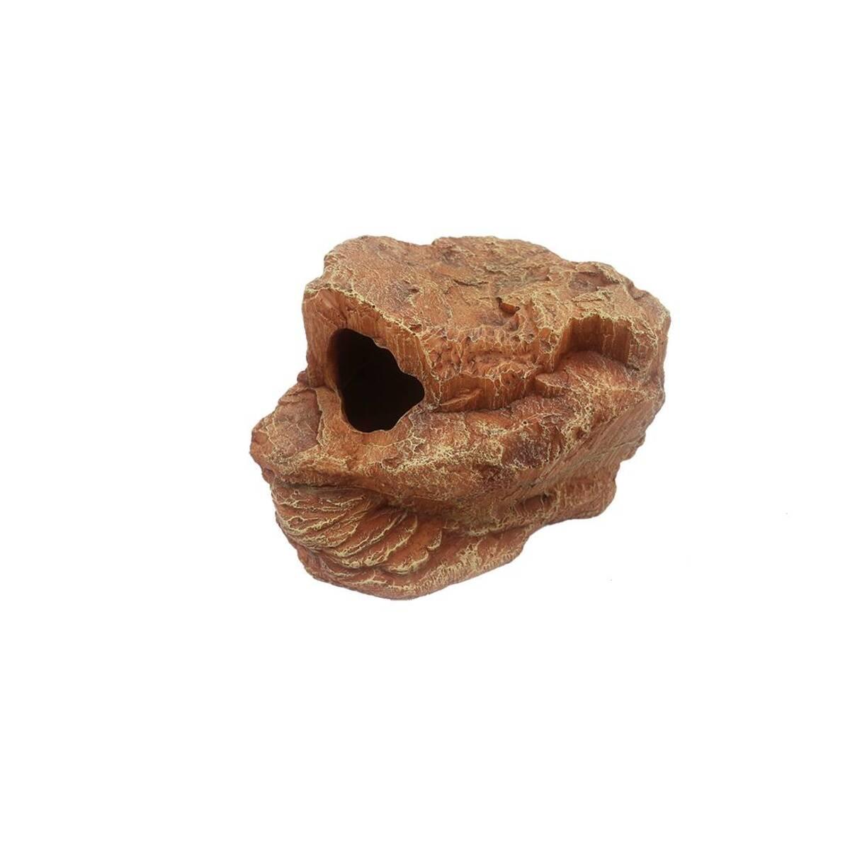 product/r/e/reptiles-planet_rp876179_marron_1.jpg