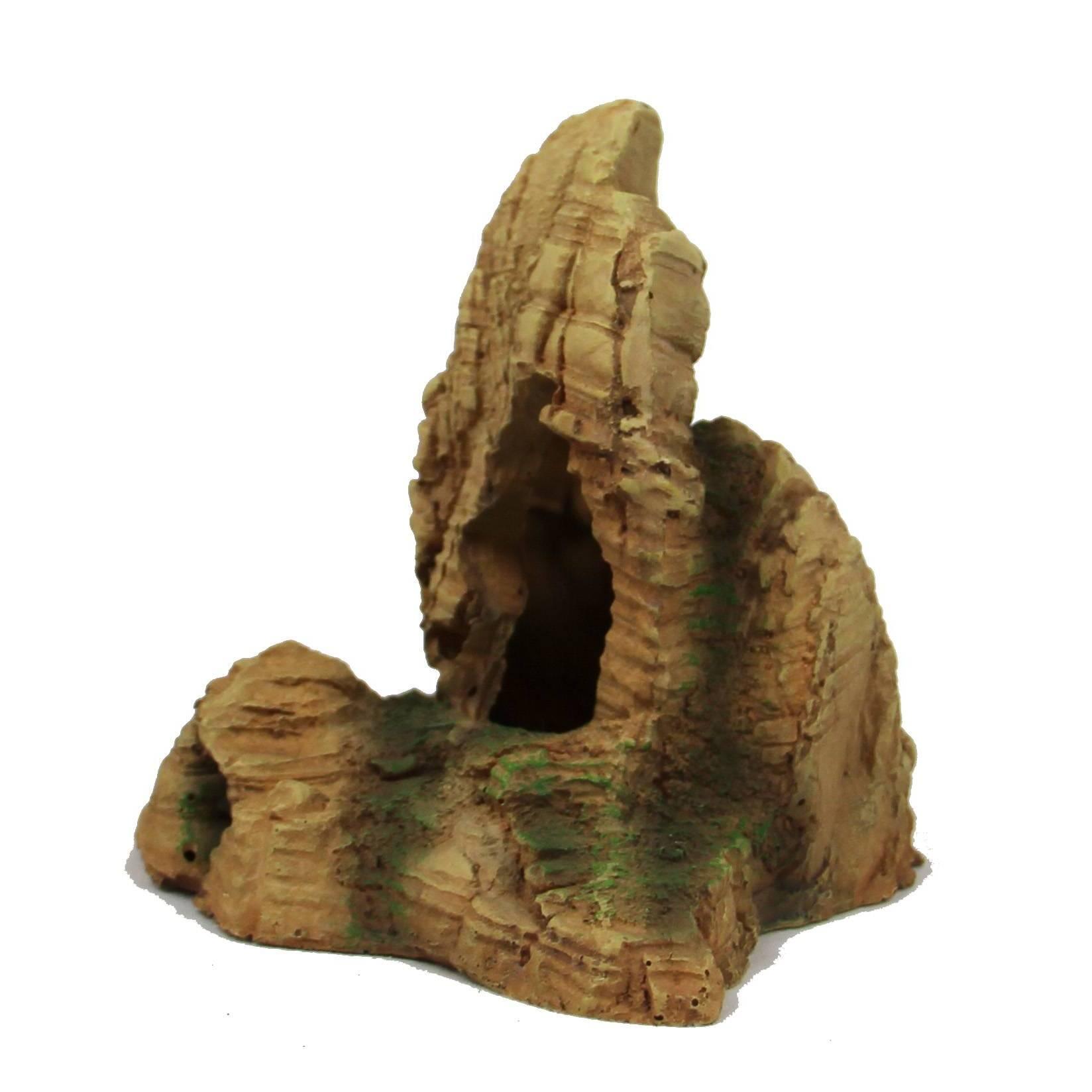 product/r/e/reptiles-planet_rp876188_marron_2.jpg