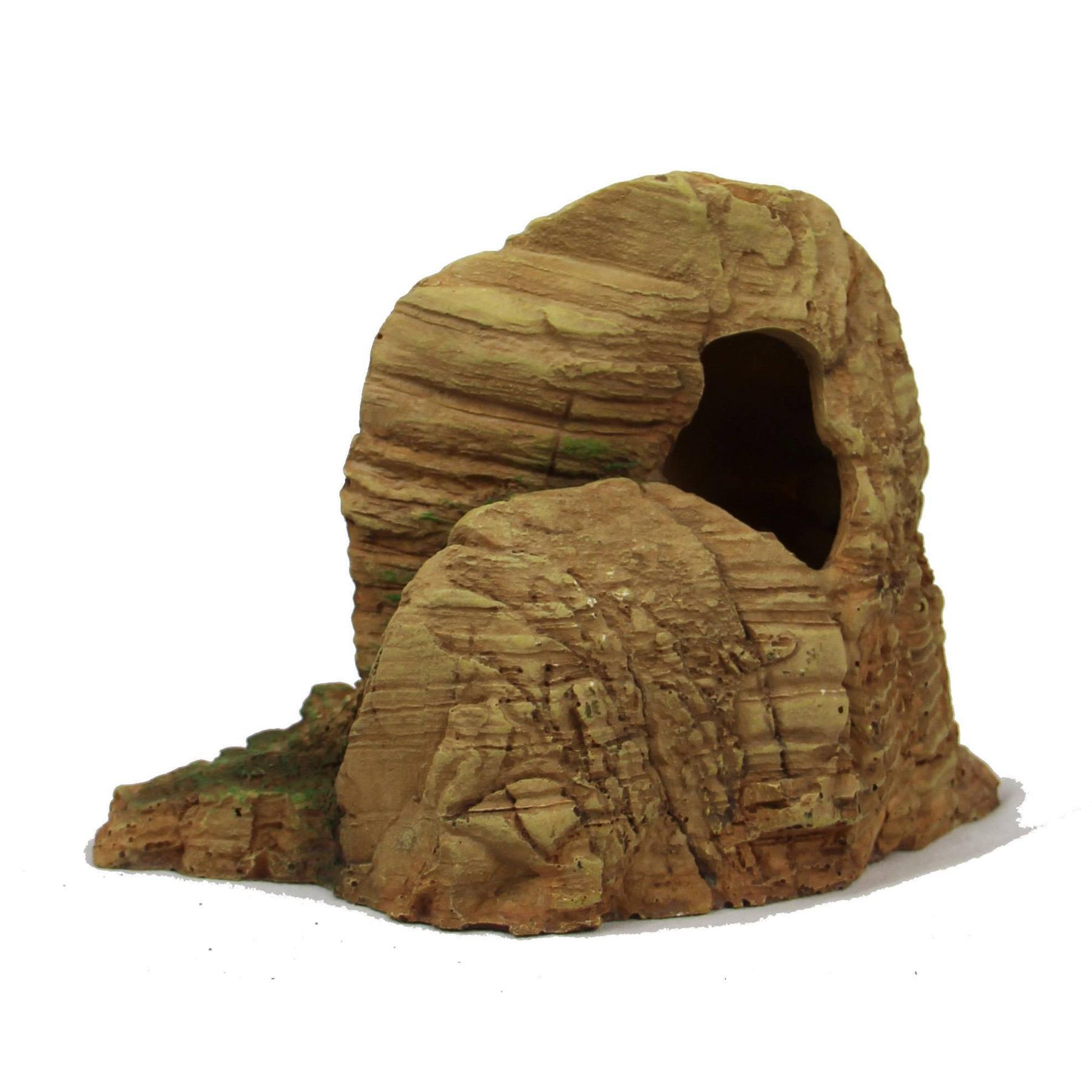 product/r/e/reptiles-planet_rp876188_marron_3.jpg